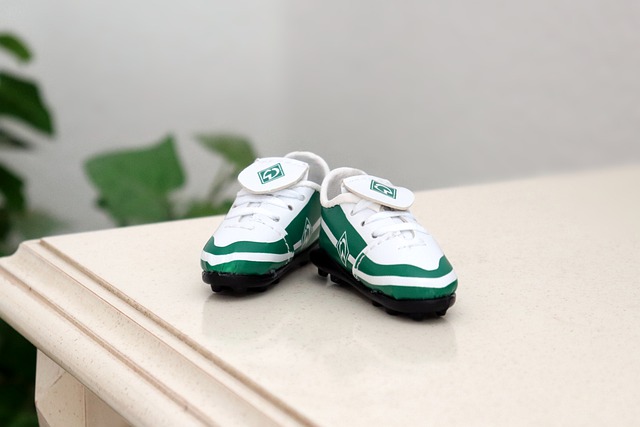 独行侠与篮 独行侠与篮