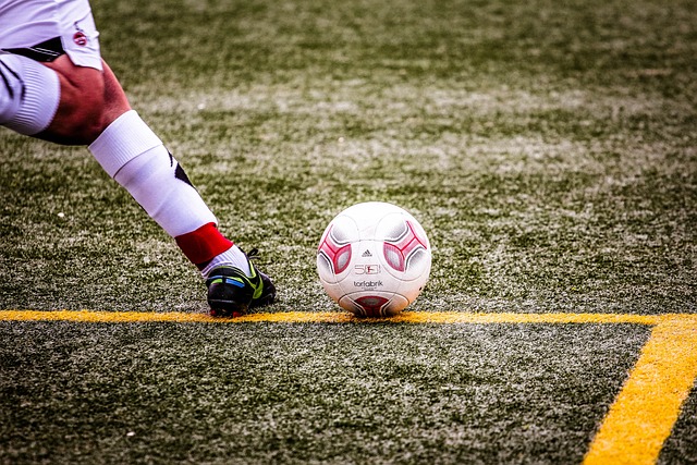 火队阵容豪 火队阵容豪