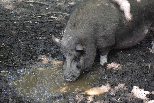 使得他们的 使得他们的
