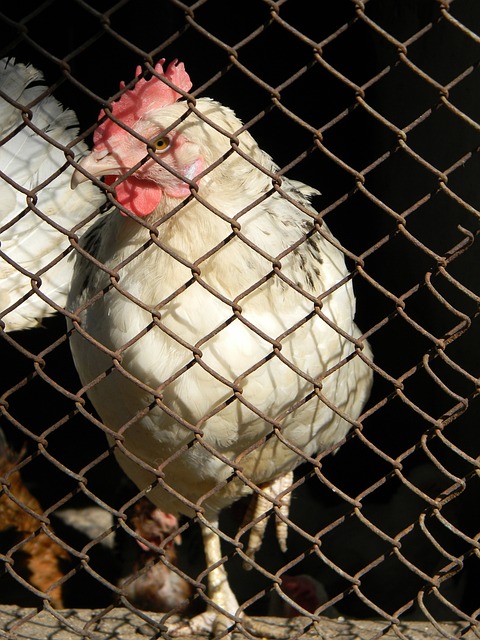 業化的重要 業化的重要