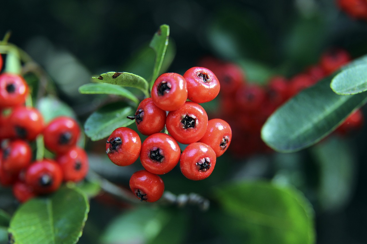 的情感体验 的情感体验