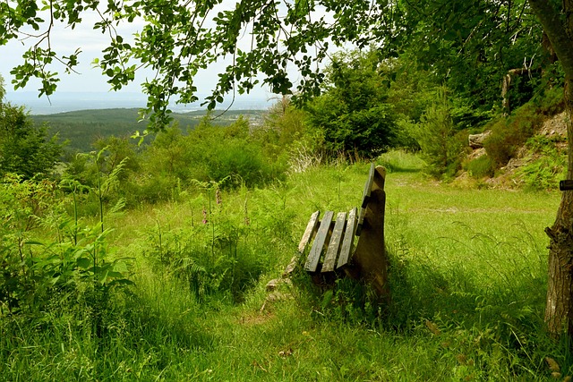 战术磨合 战术磨合