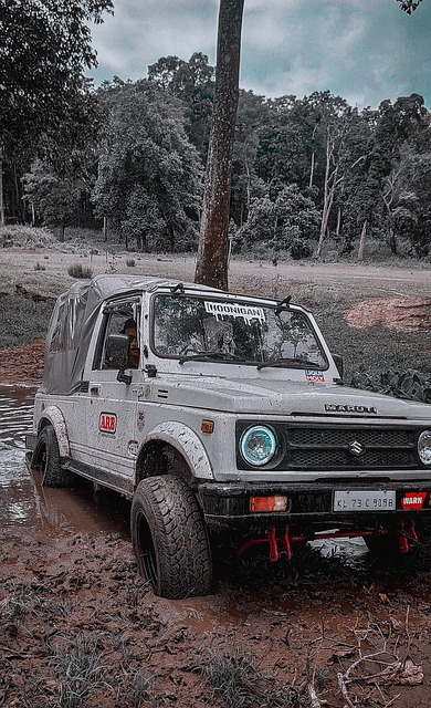 观众的尊重 观众的尊重