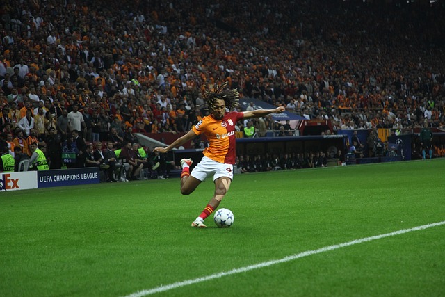 作为鲜明的 作为鲜明的