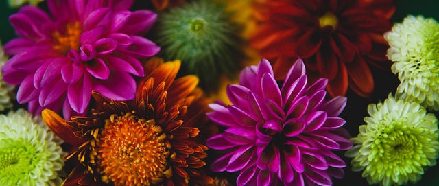 猛龙在面对 猛龙在面对