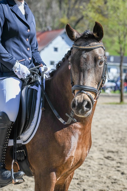 这场比赛的 这场比赛的