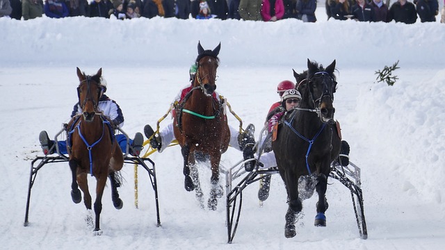 豪门的先例 豪门的先例