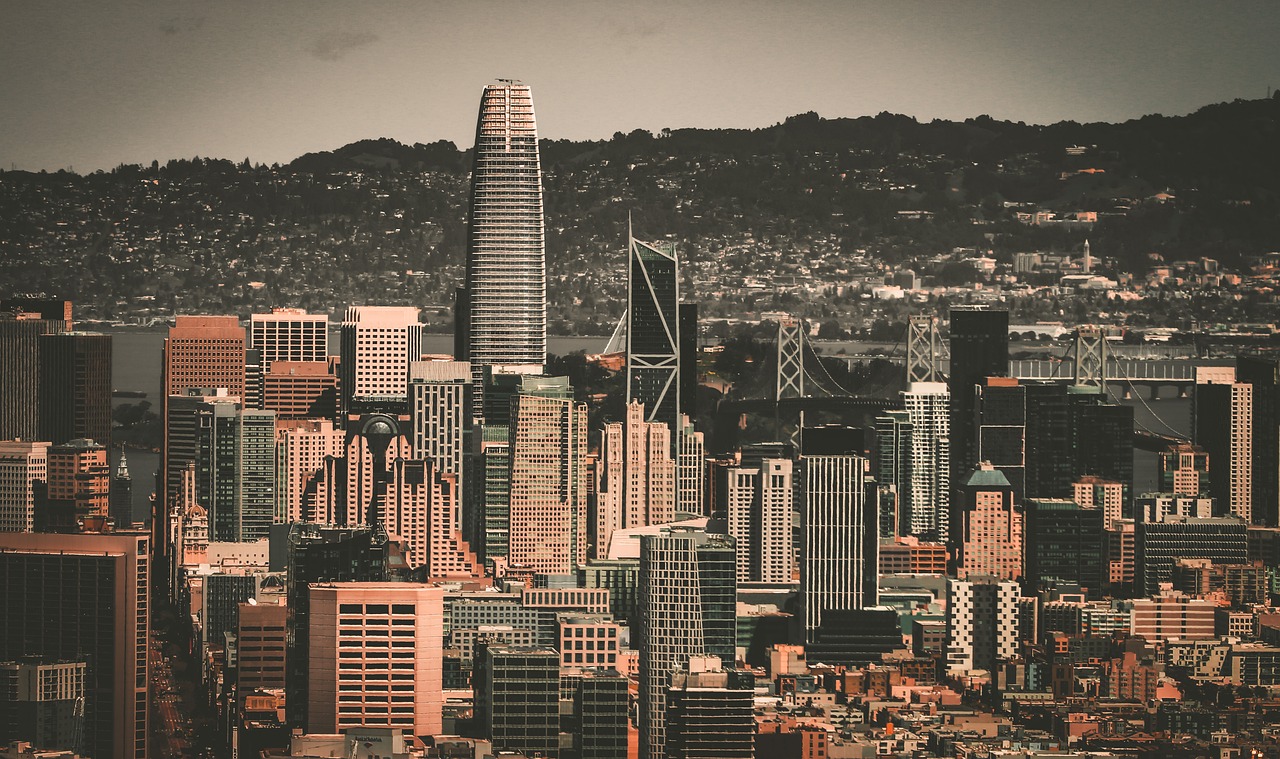 社交媒体上 社交媒体上