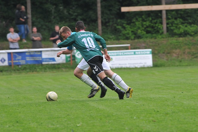 果使保級形 果使保級形