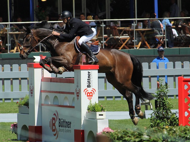 像机捕捉到 像机捕捉到