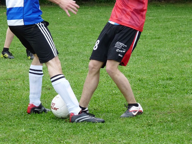 伦纳德两位 伦纳德两位