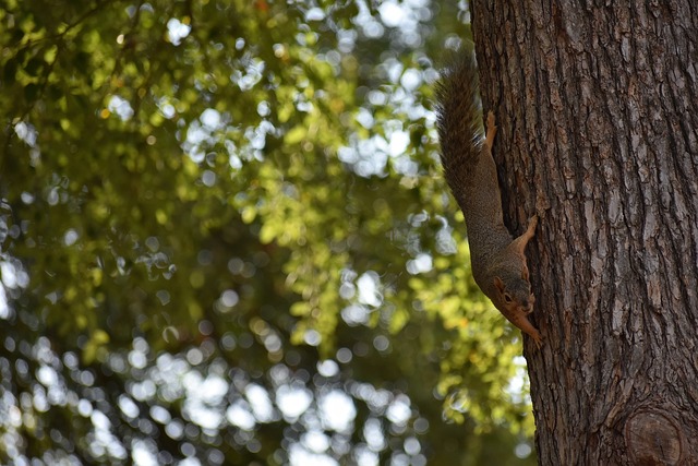让球队在欧 让球队在欧