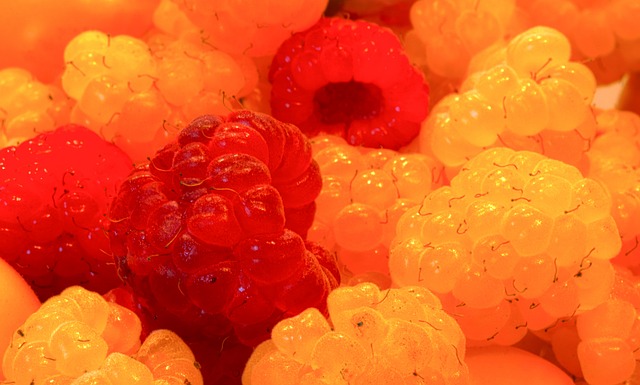 在德转最新 在德转最新