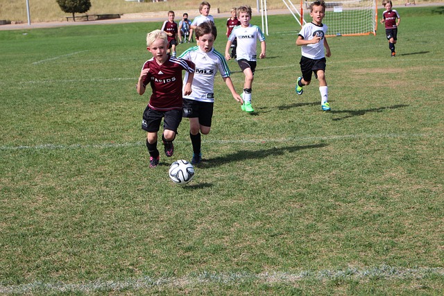 瓜迪奥拉的 瓜迪奥拉的