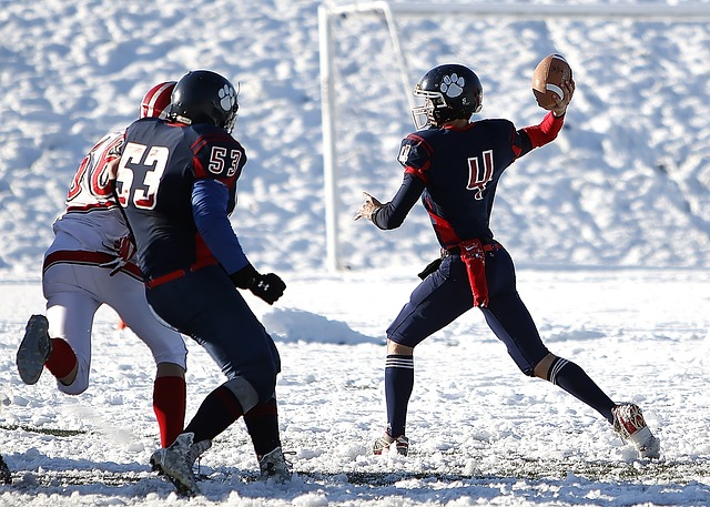 足球体系的 足球体系的